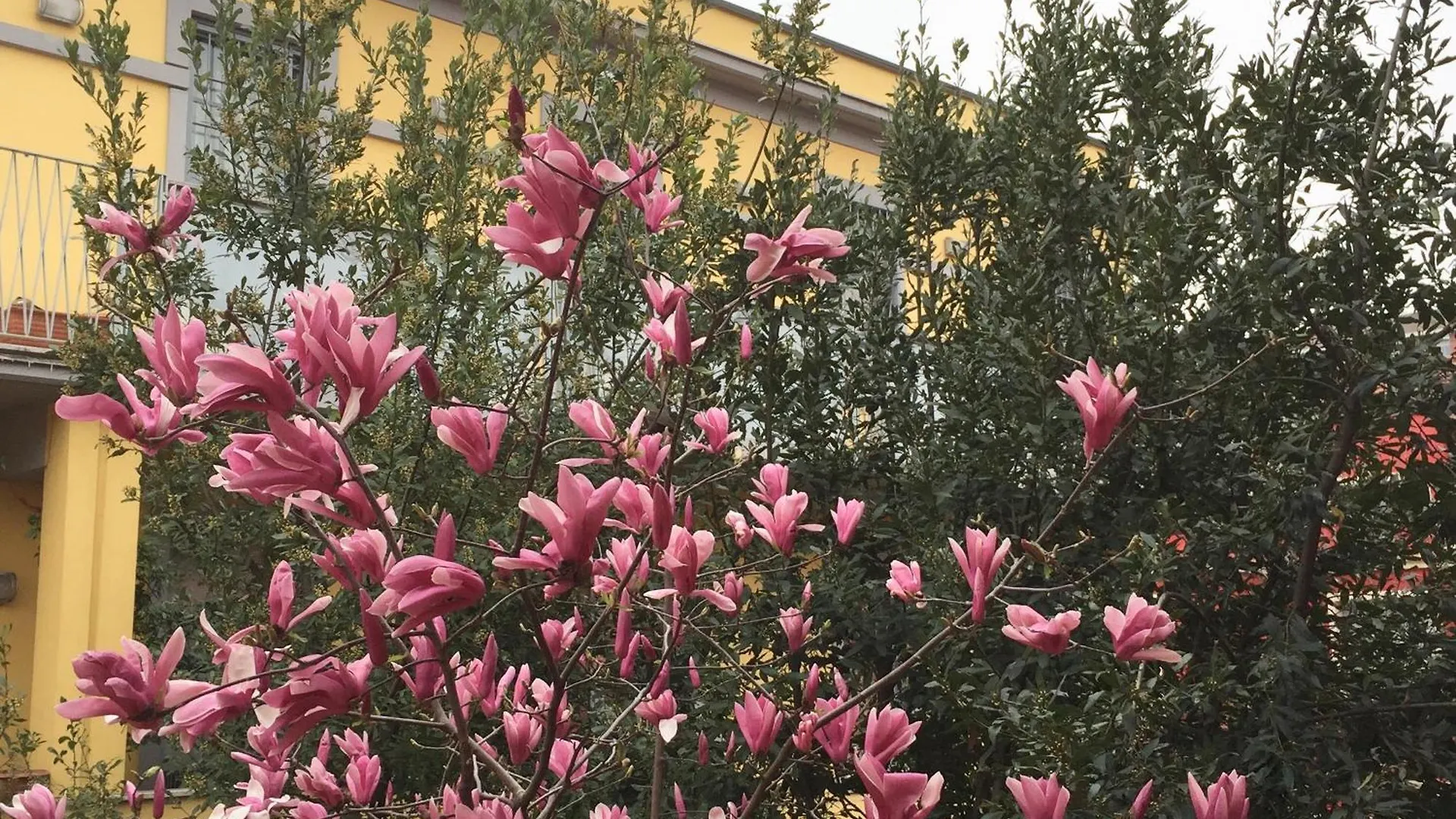 Navigli Downtown Cocco House Apartman Milánó
